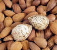 ALENIA (PRIMA) ALMOND (Prunis dulcis)