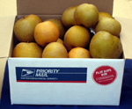 Certified Organic Mixed Asian Pear