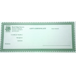 Gift Certificates