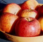 Cider Apples