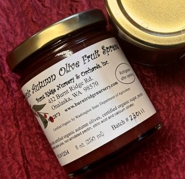 Autumn Olive Jam - certified organic