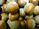 HAZELNUTS - certified organic