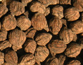 BLACK WALNUTS