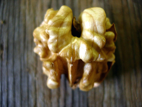 CHANDLER ENGLISH WALNUT (Juglans regia)