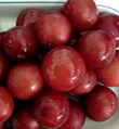 NADIA CHERRY PLUM (Prunus salicina x)