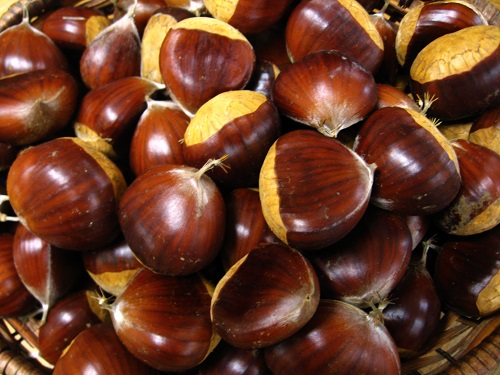 CHESTNUTS - certified organic - mixed varieties