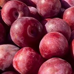 DAPPLE DANDY PLUOT (Prunus x armenicaca)