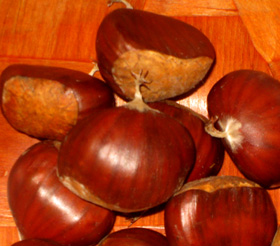 CROWN CHESTNUT SEED (Castanea sativa)