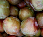 FLAVOR SUPREME PLUOT (Prunus x Armeniaca)