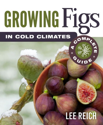 GROWING FIGS IN COLD CLIMATES (By Lee Reich)