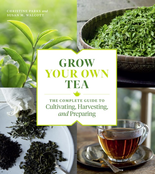 GROW YOUR OWN TEA By Christine Parks & Susan M Walcott