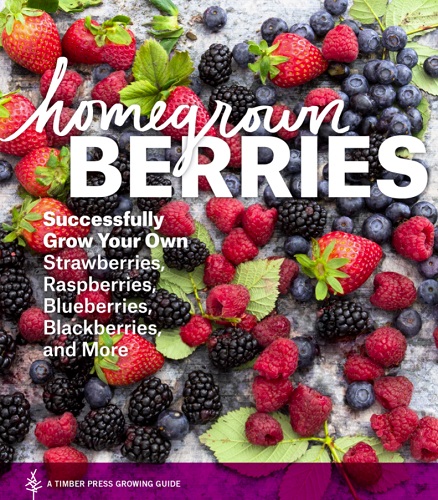 HOMEGROWN BERRIES revised by Teri Dunn Chace