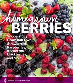 HOMEGROWN BERRIES revised by Teri Dunn Chace