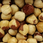 MCDONALD HAZELNUT (Corylus avellana)