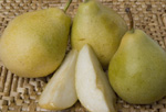 MOONGLOW EUROPEAN PEAR (Pyrus communis)