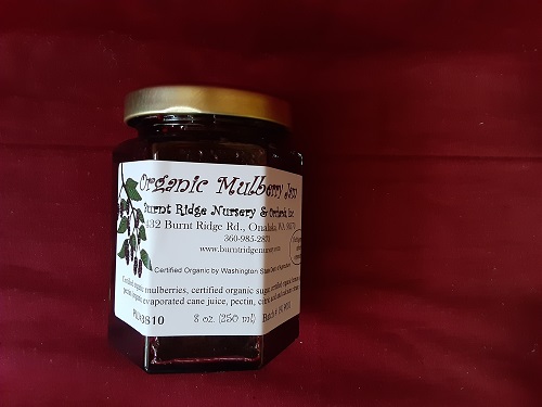 Mulberry Jam - certified organic