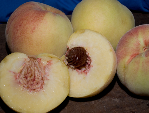 POLLY WHITE PEACH (Amygdalus persica)