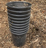 USED GALLON POTS PICK UP & MARKET ONLY