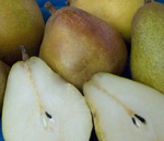 WARREN EUROPEAN PEAR (Pyrus communis)