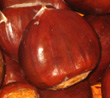 WHITTEN SOUTH CHESTNUT SEEDS (European x American)